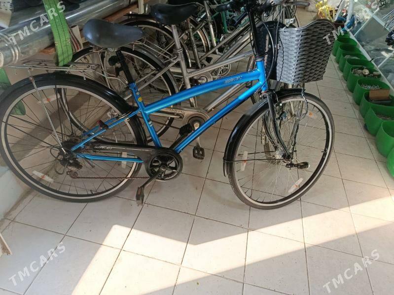 welik - Mary - img 3