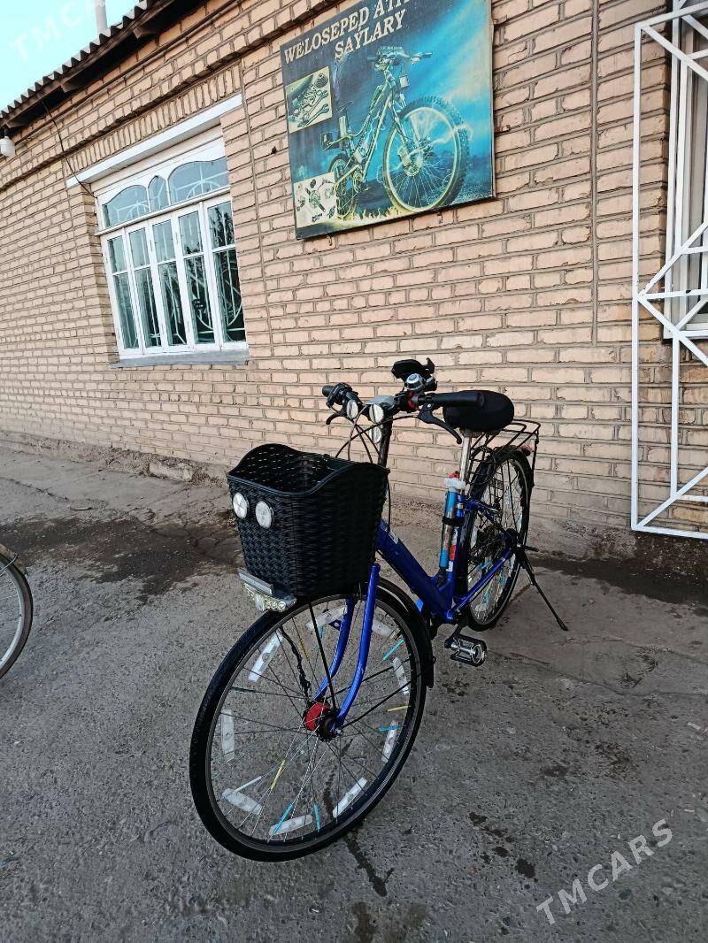 welik - Mary - img 9