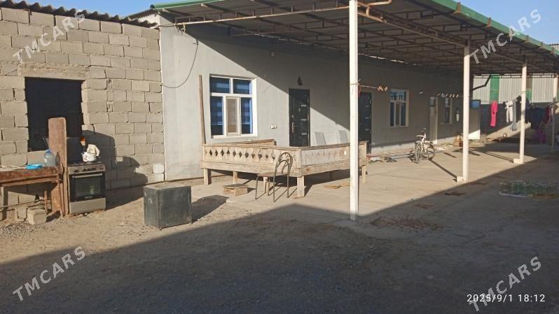 gäwers bugdaýli - Ак-Бугдайский этрап - img 2