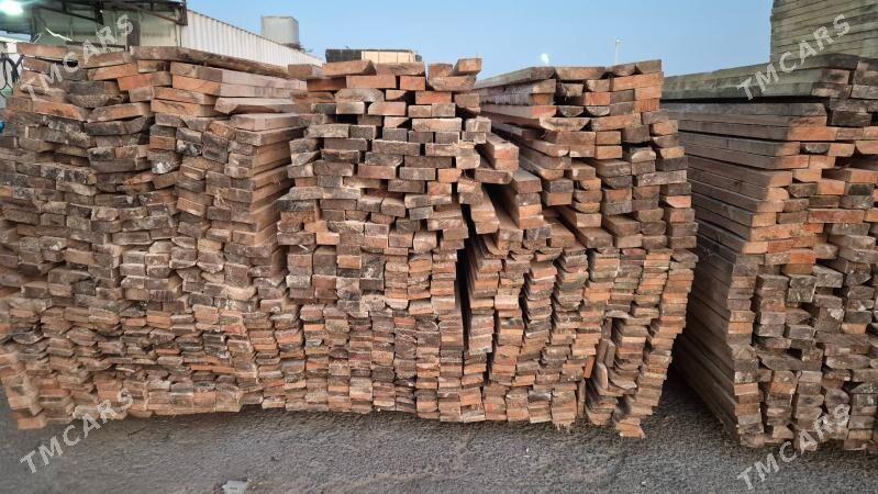 Agac sosna - Aşgabat - img 3