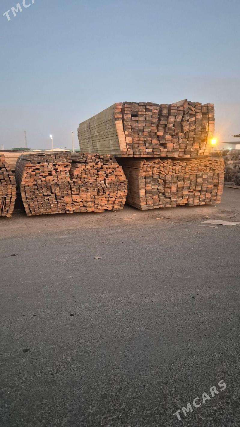 Agac sosna - Aşgabat - img 2