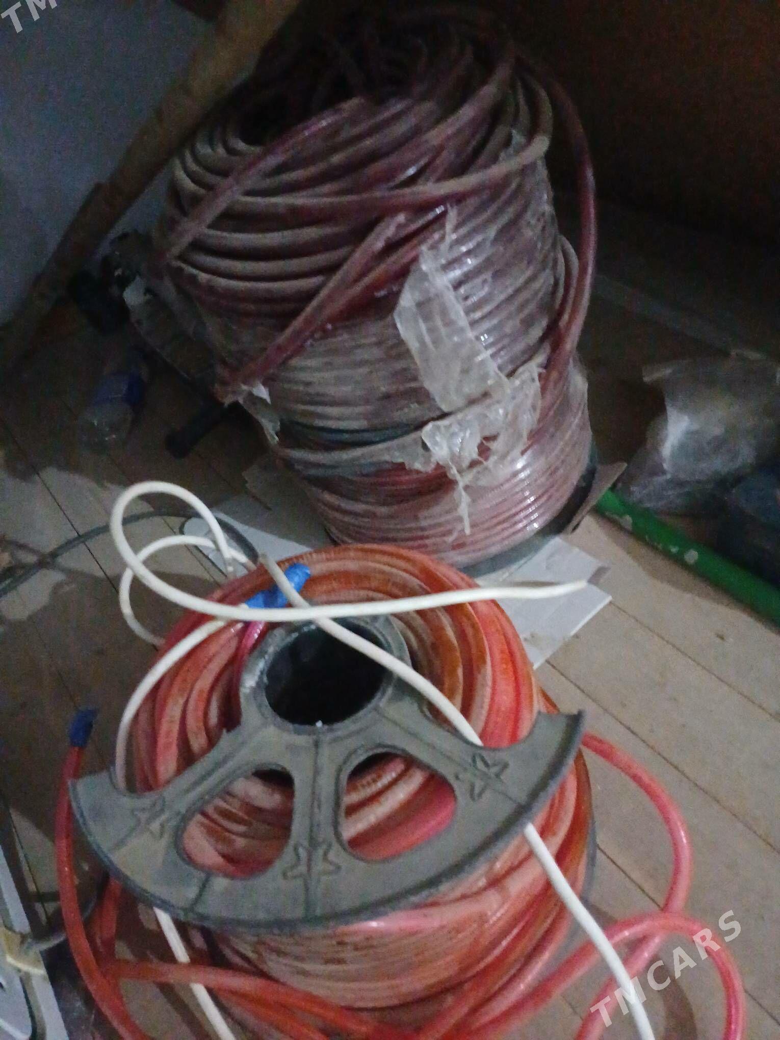 Let cyra dasaryk ucin - Мары - img 4