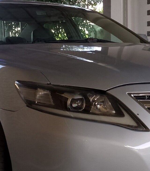 okuz kelle fara jübüt (gaşly) 700 TMT - Türkmenabat - img 1