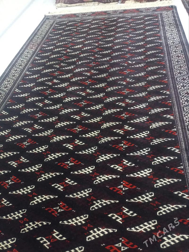 Gara haly - Balkanabat - img 2