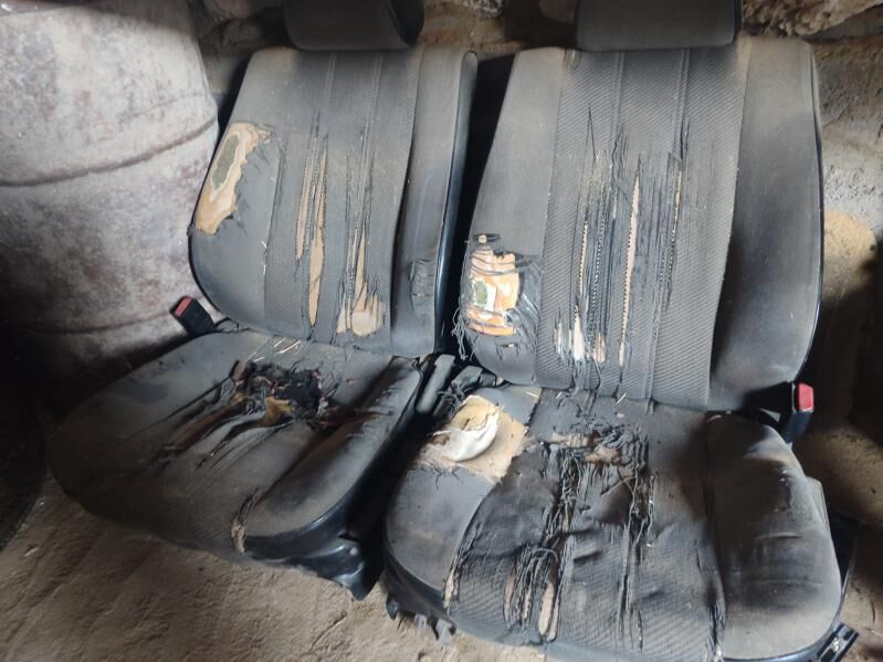 bmw sidenya 700 TMT - Гумдаг - img 2