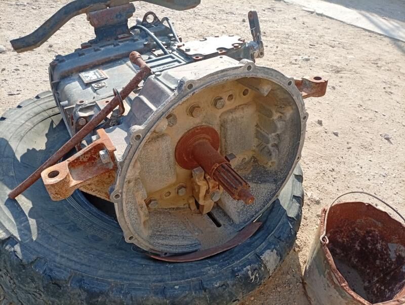 zef karopga 20 000 TMT - Гумдаг - img 3