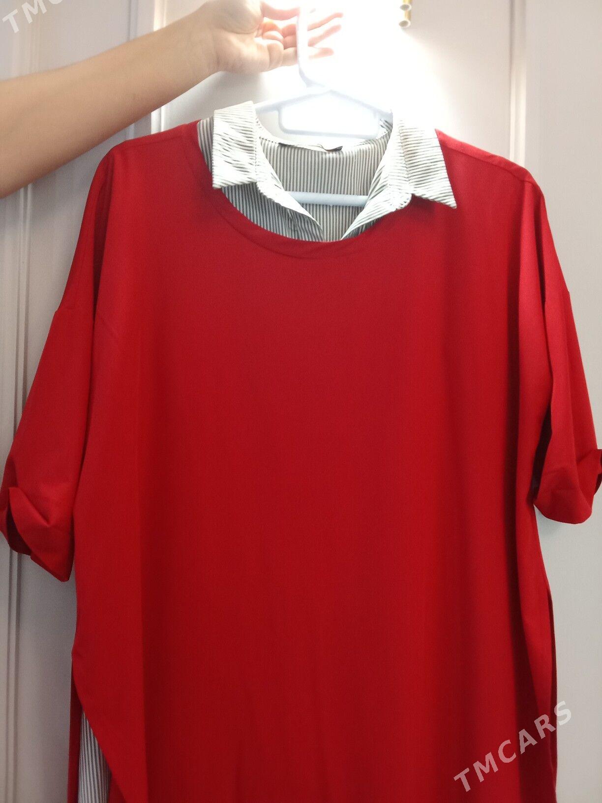 koynekler - Gurtly - img 9