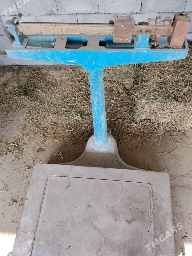 Terezi - Gökdepe - img 2