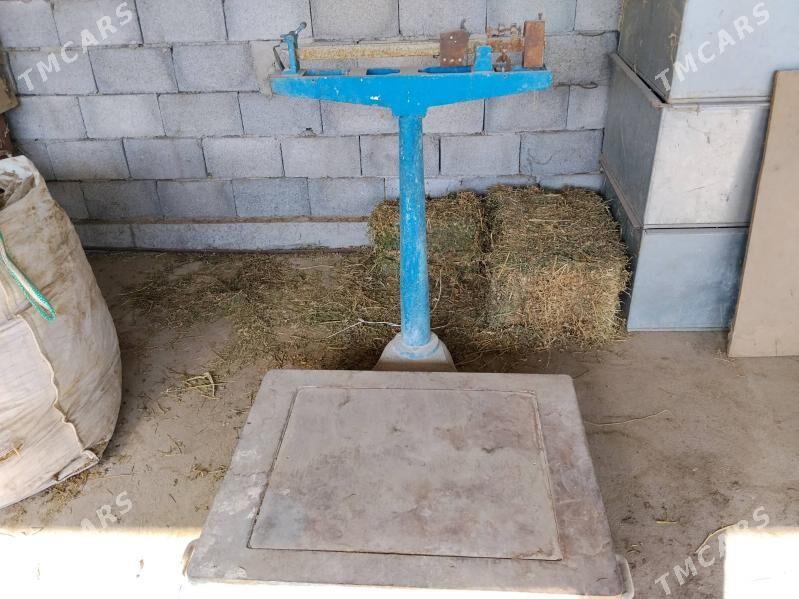 Terezi - Gökdepe - img 4