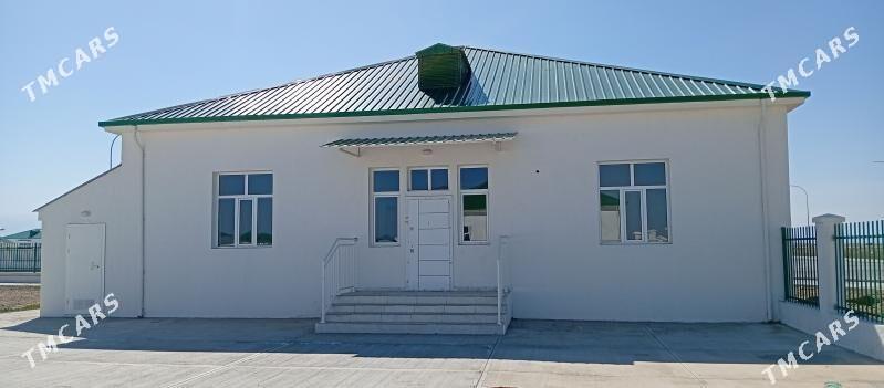 Arenda plan bez hazayin - Änew - img 3