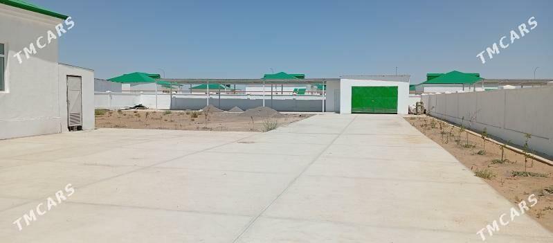 Arenda plan bez hazayin - Änew - img 2