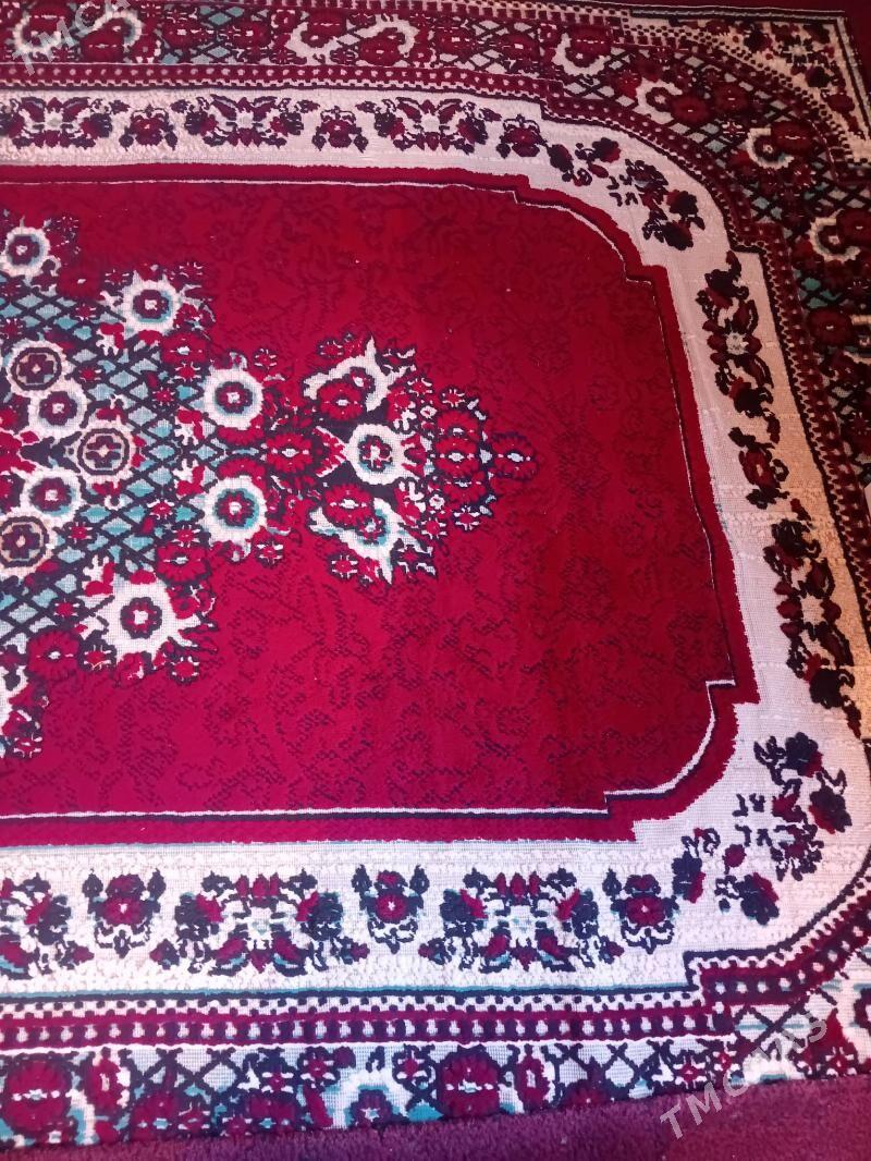 Haly - Gumdag - img 2