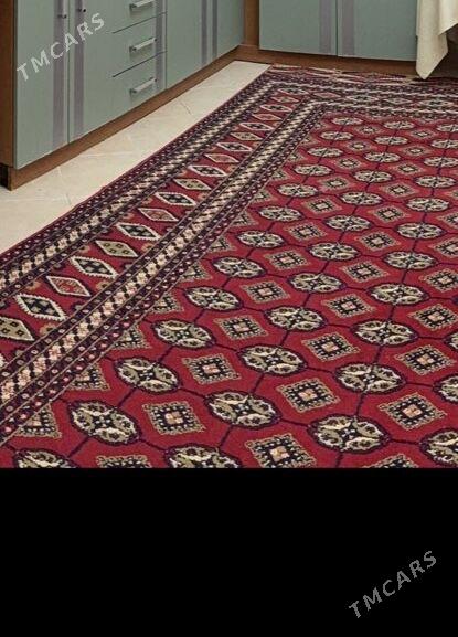 halylar - Aşgabat - img 7