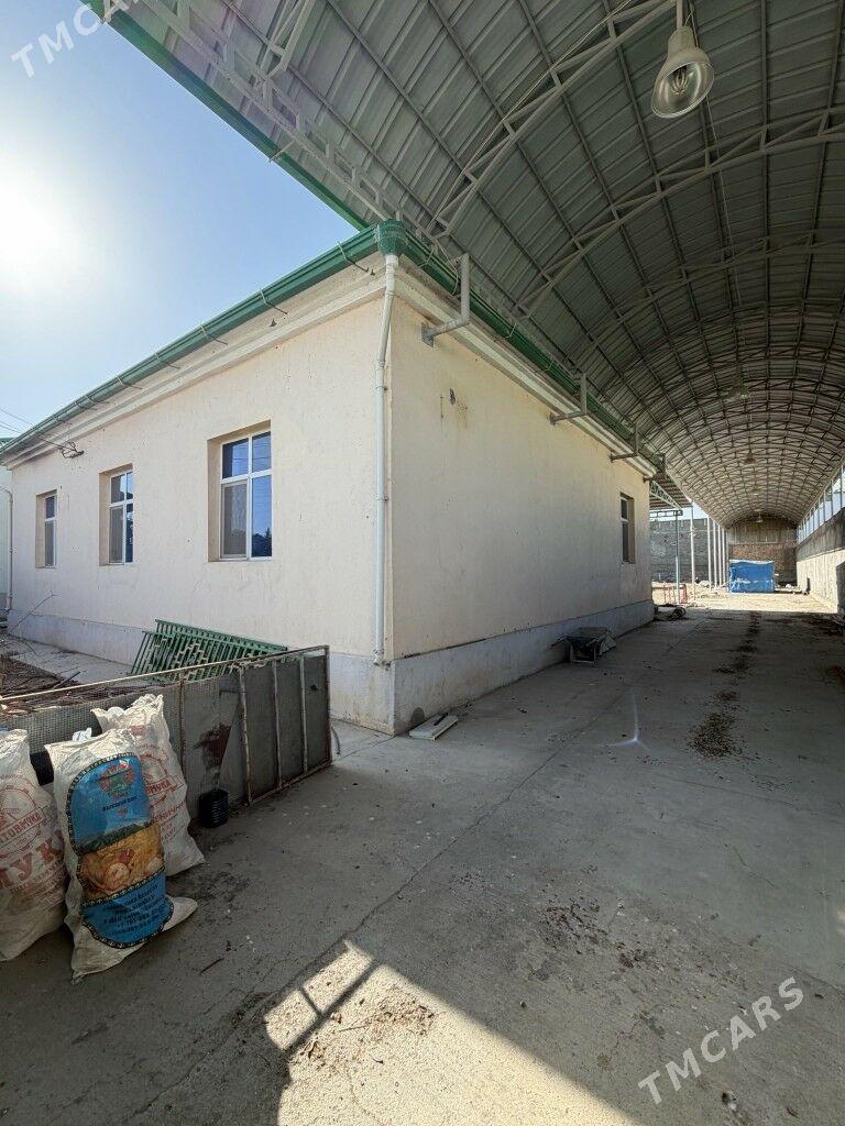 ÄNEW 10SOTUK PLAN - Анев - img 1