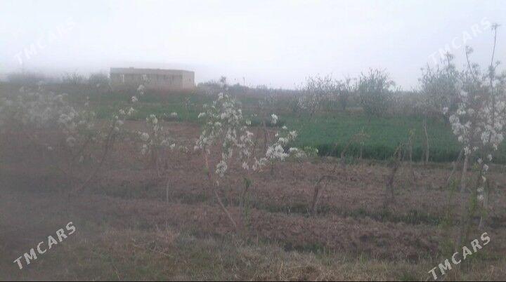 jay satlyk - Türkmengala - img 2