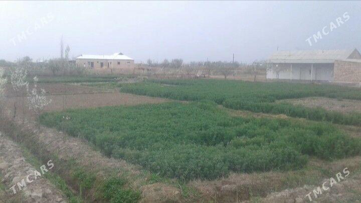 jay satlyk - Türkmengala - img 1