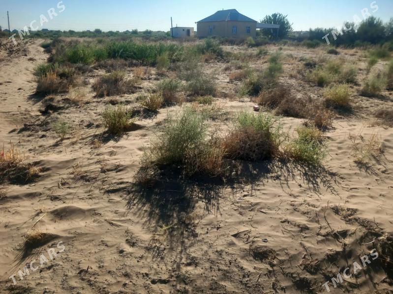 mellek yer - Ýolöten - img 2