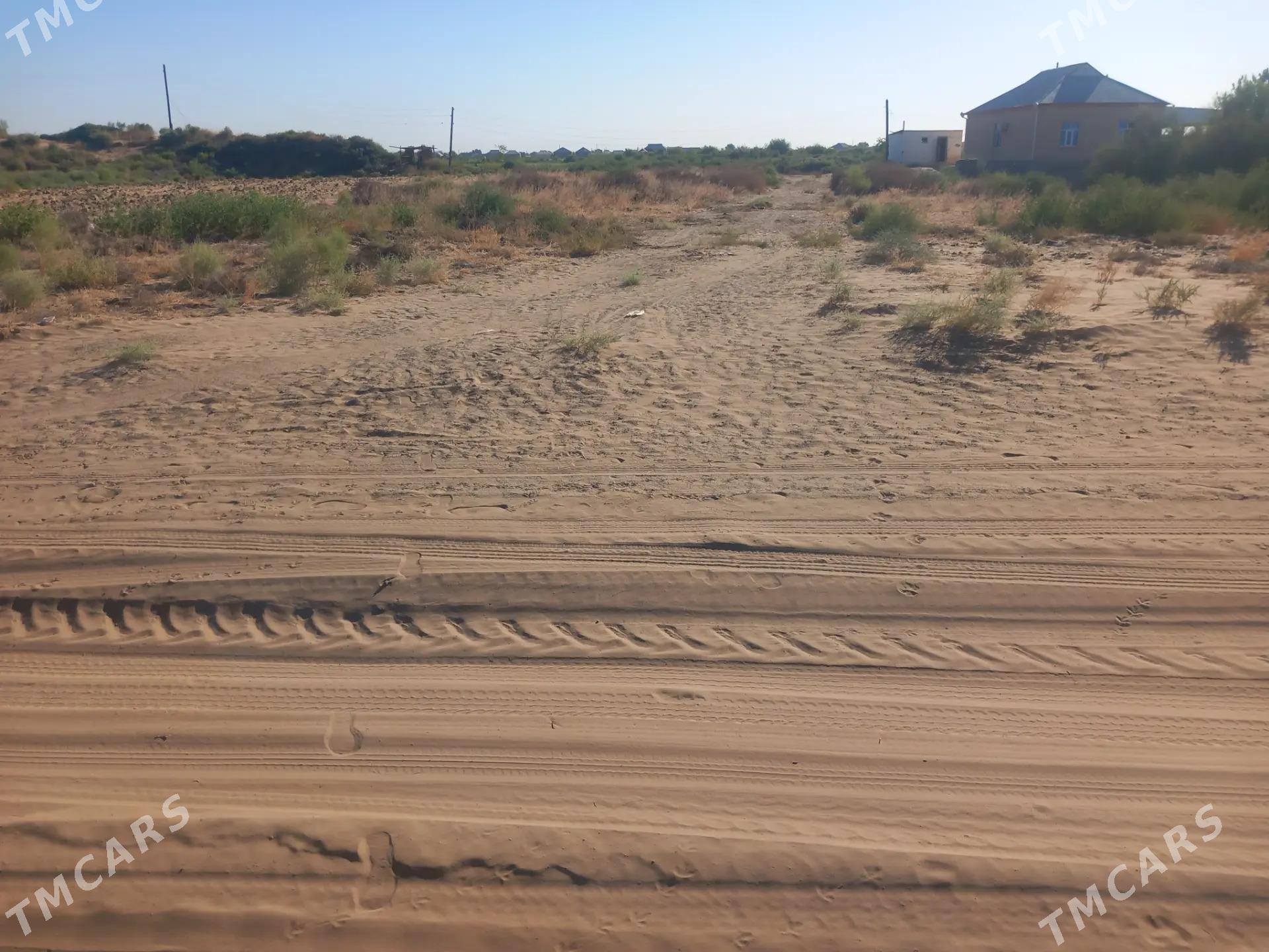 mellek yer - Ýolöten - img 3