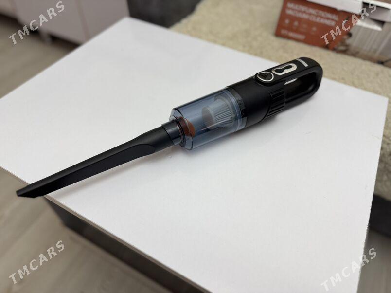 Tozan sorujy plesos - Türkmenabat - img 1