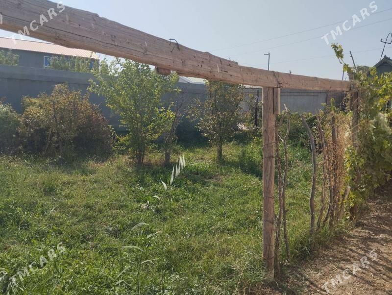 berzenkanal daça - Туркменабат - img 6