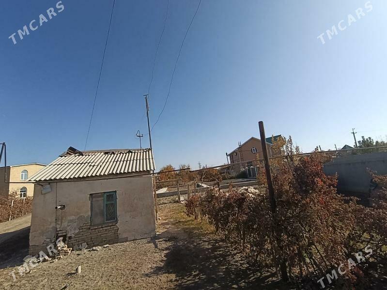 berzenkanal daça - Туркменабат - img 5