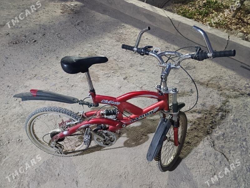 tigr - Gökdepe - img 2