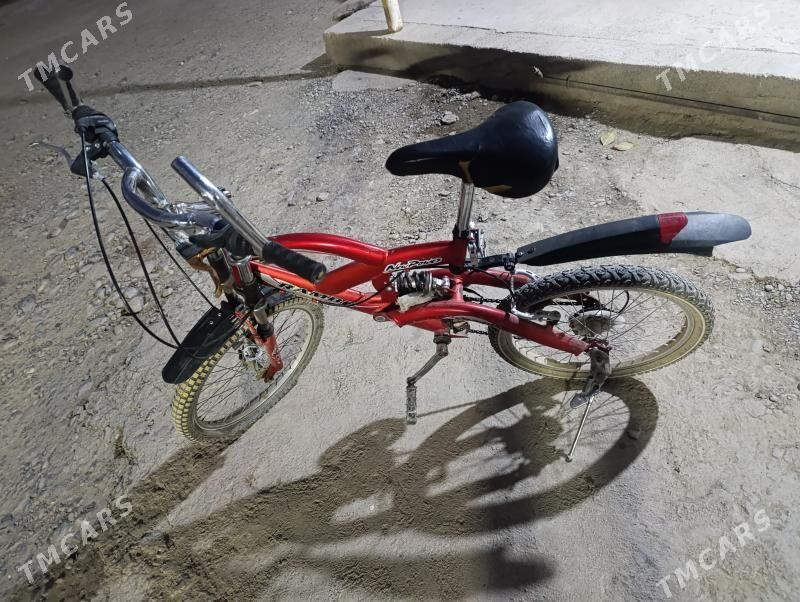 tigr - Gökdepe - img 1