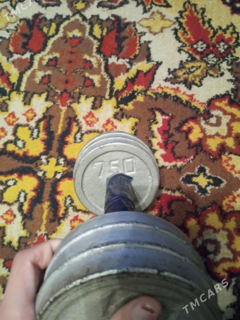 гантеля - Туркменбаши - img 1