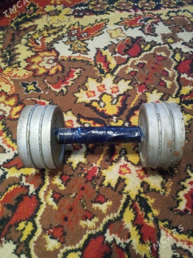 гантеля - Туркменбаши - img 2