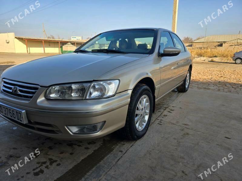 Toyota Camry 2000 - 180 000 TMT - Гурбансолтан Едже - img 3
