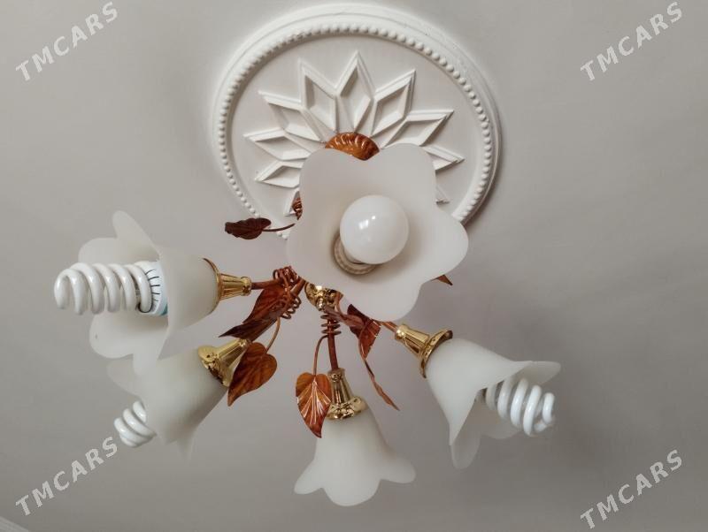 lyusdra - Balkanabat - img 1