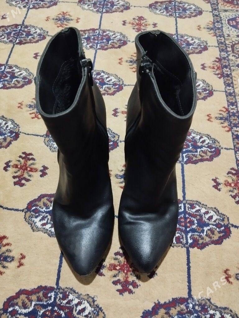 adik - Daşoguz - img 1