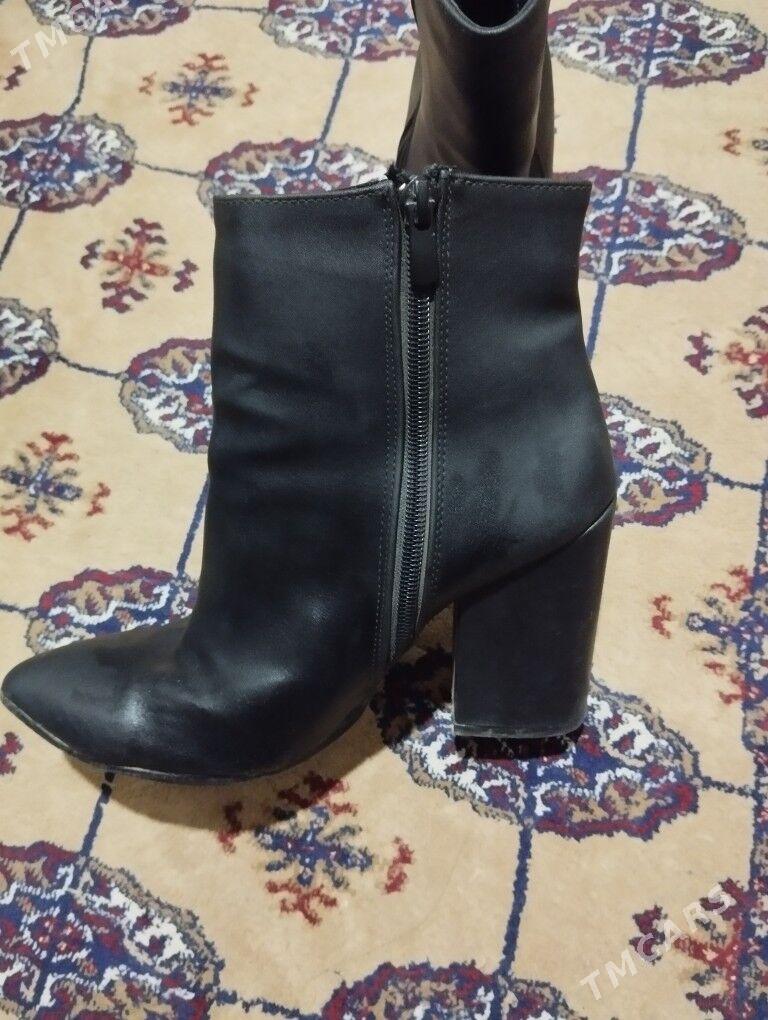 adik - Daşoguz - img 2