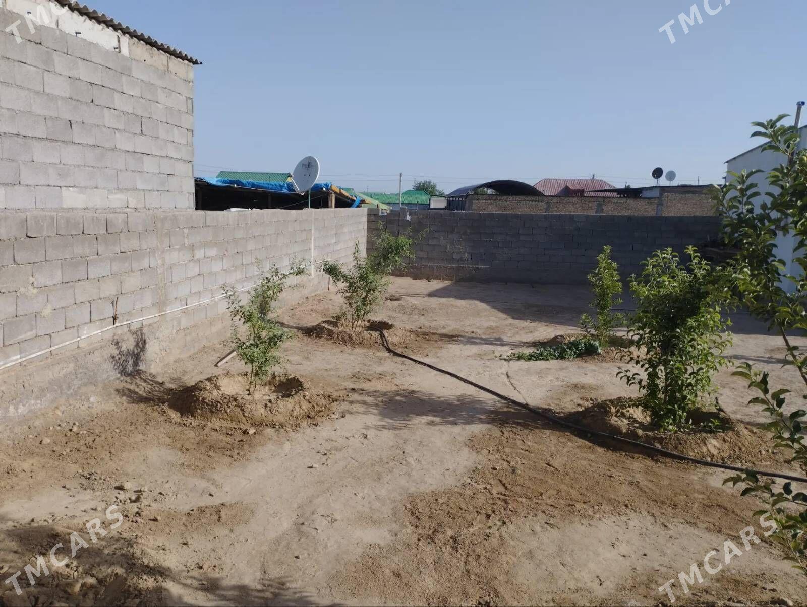 satlyk jay - Aşgabat - img 6