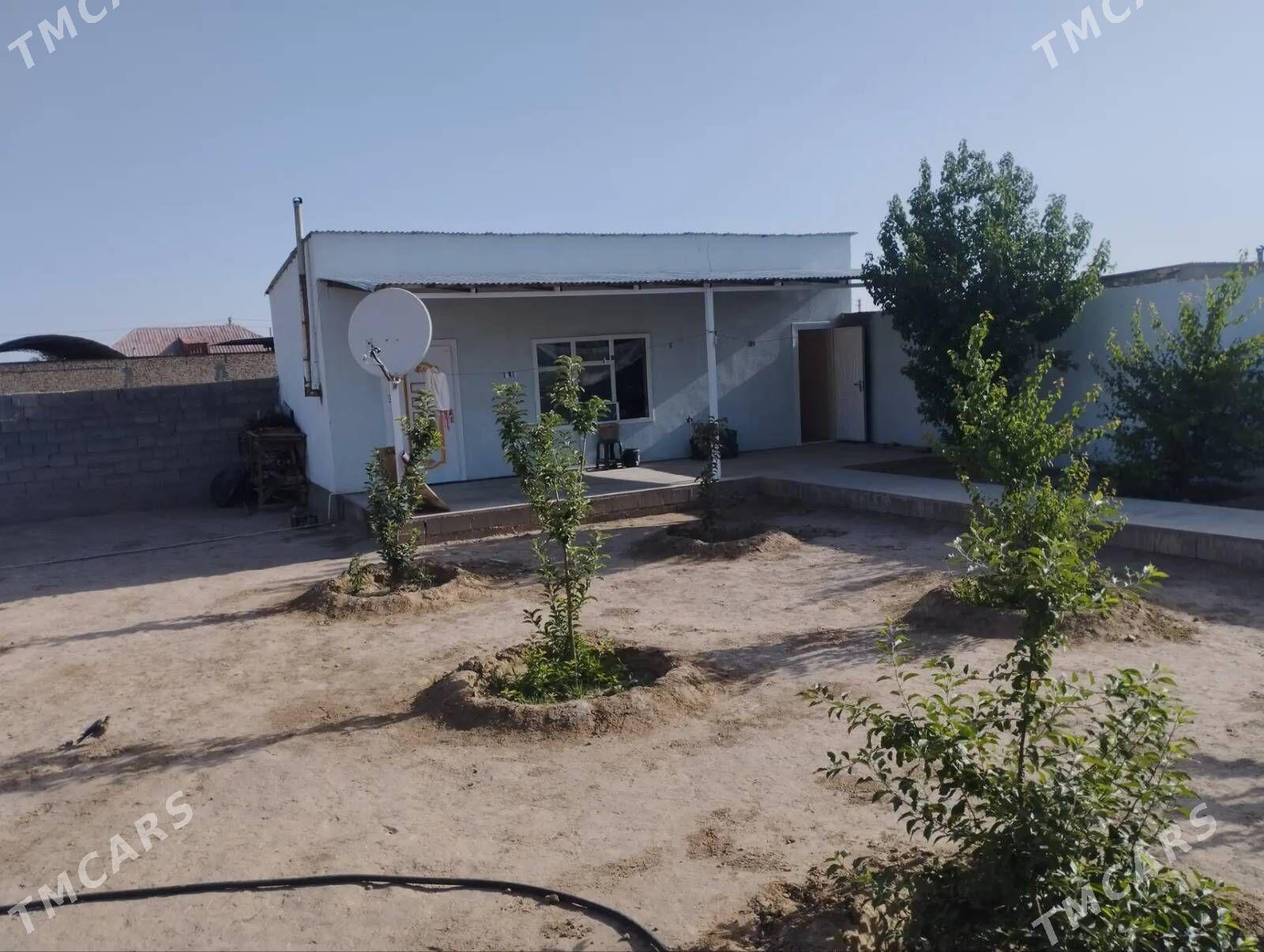 satlyk jay - Aşgabat - img 7