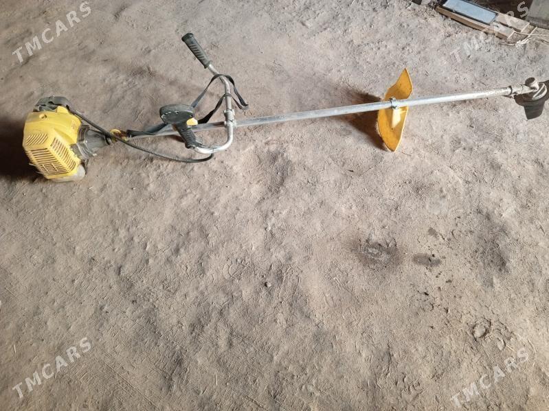 ot oren - Görogly (Tagta) - img 2