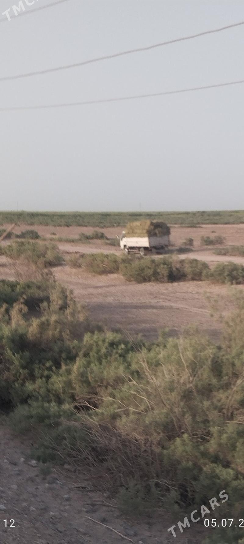 petdelenen ýandak - Мургап - img 1