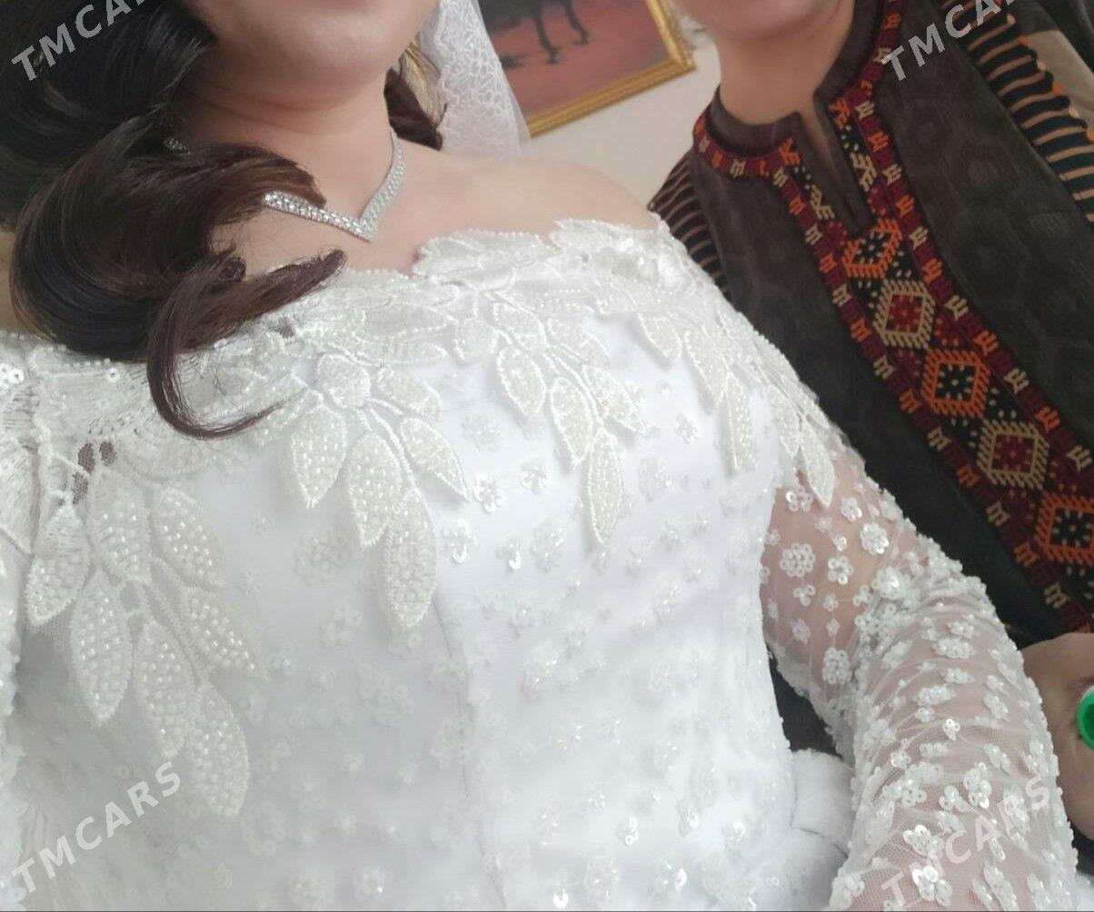 той койнеги - Туркменабат - img 3