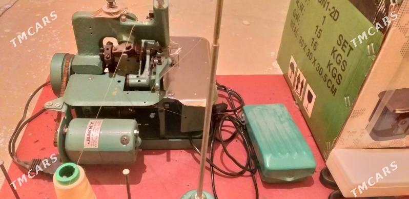 Awerlok - Kerki - img 2