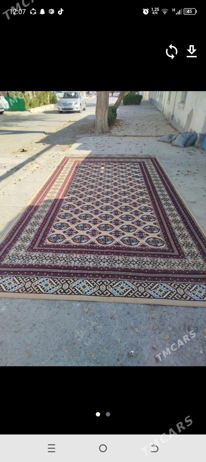 haly - Aşgabat - img 1