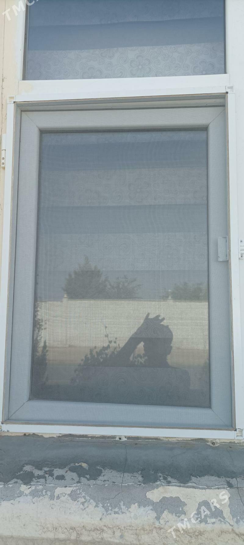 setka aýna dakylýan - Bedew - img 2