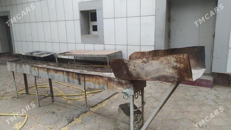 mangal - Бузмеин - img 2