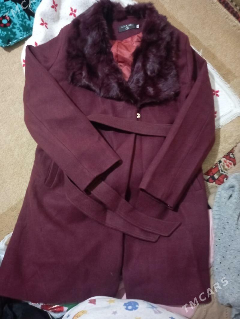 palto - 4 mkr - img 2