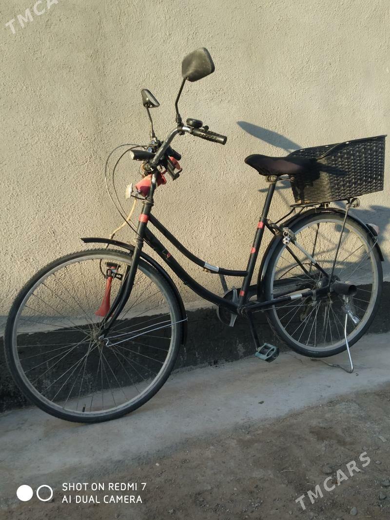 26 tigir 6 skor - Babadaýhan - img 4