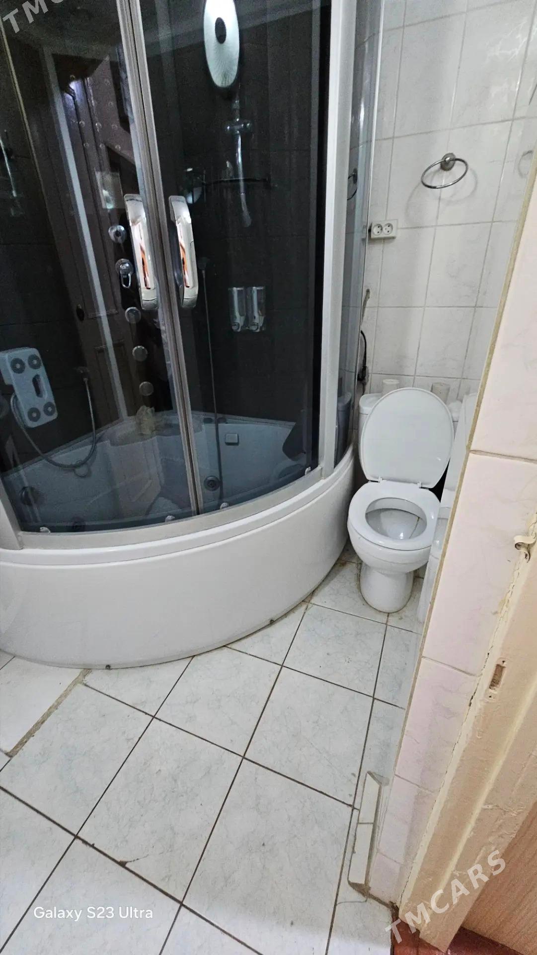 Satlyk jay - Mary - img 8