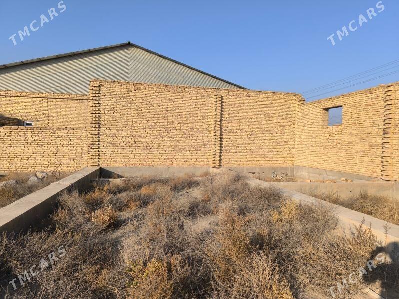 Gystagly satlyk jaý - Фарап - img 7