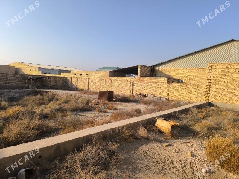 Gystagly satlyk jaý - Фарап - img 9