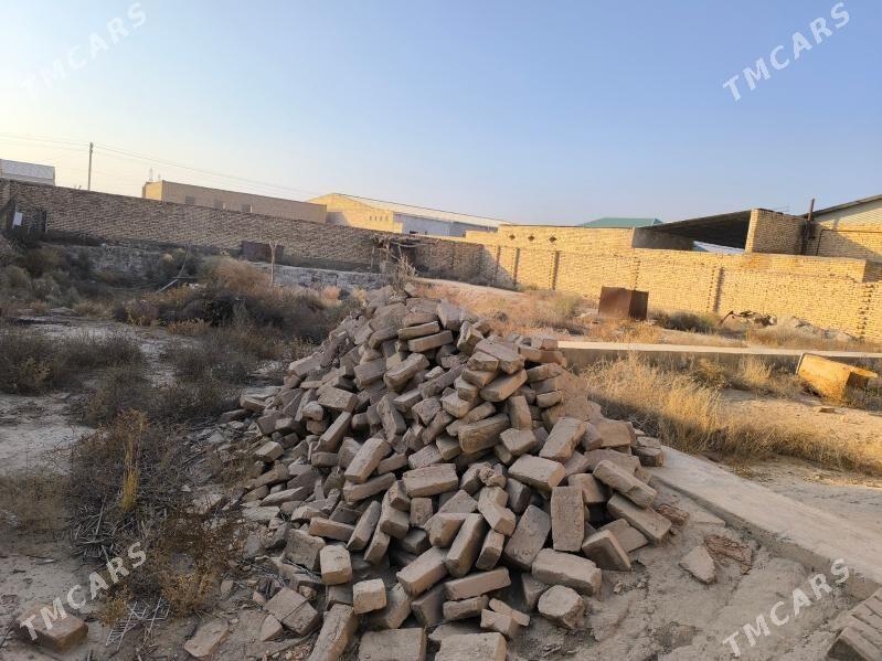 Gystagly satlyk jaý - Фарап - img 10