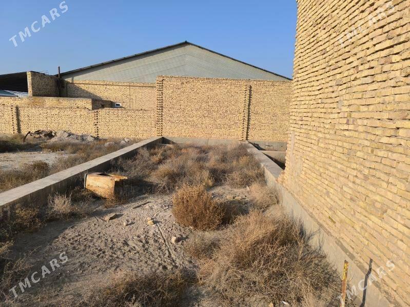 Gystagly satlyk jaý - Фарап - img 8