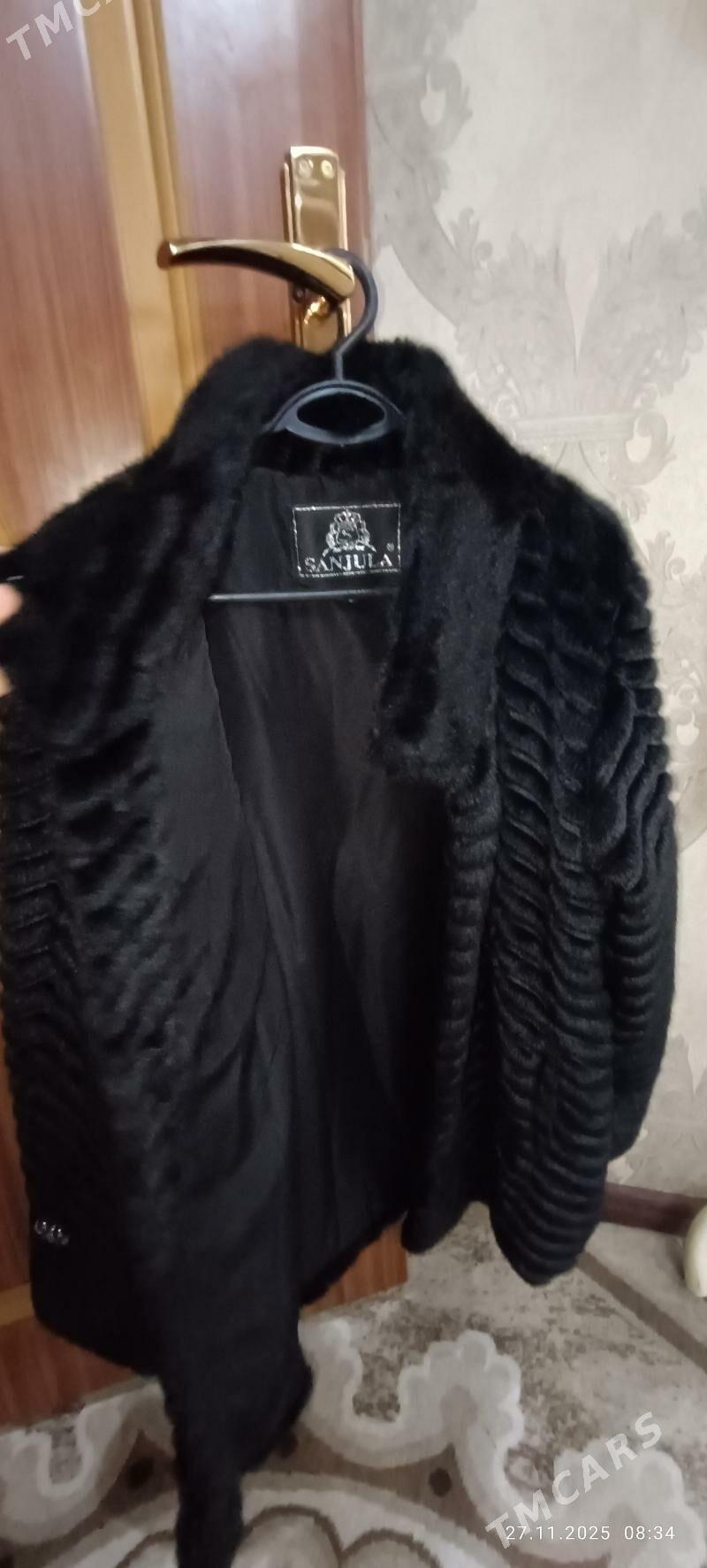 arginal SUBA - Mary - img 4